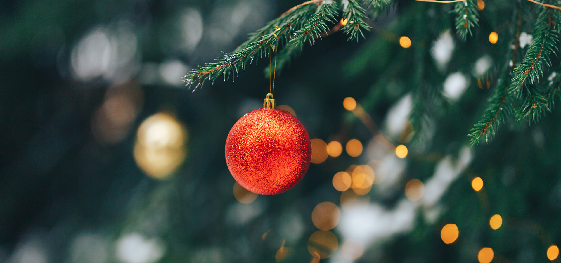 Rote Christbaumkugel an einem Tannenzweig hängend mit verschwommenen Lichtern im Hintergrund